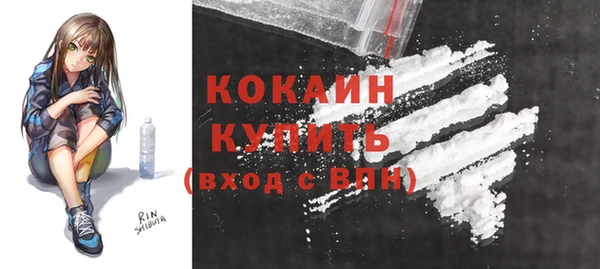 крисы Аркадак