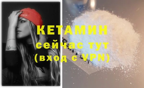 крисы Аркадак