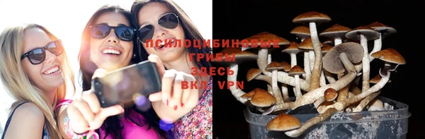 крисы Аркадак
