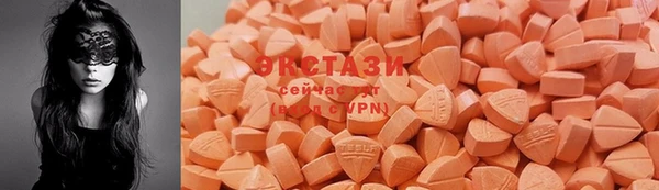 крисы Аркадак