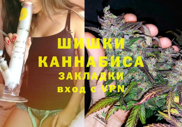 крисы Аркадак