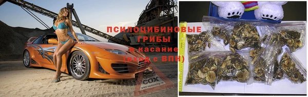 крисы Аркадак