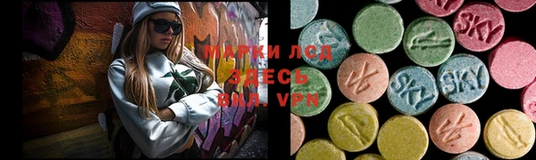 крисы Аркадак
