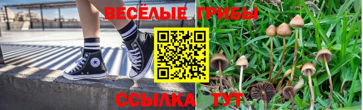 Псилоцибиновые грибы Psilocybe Жуковский