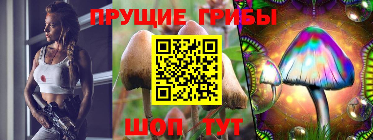 Псилоцибиновые грибы мухоморы  Вход с VPN  Жуковский 